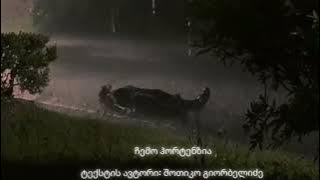 ჩემო ჰორტენზია - შოთიკო გიორბელიძე 