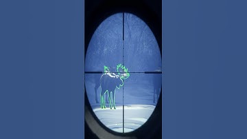 WE FINALLY GOT HIM! 300+ Diamond Moose! Call of the wild #shorts