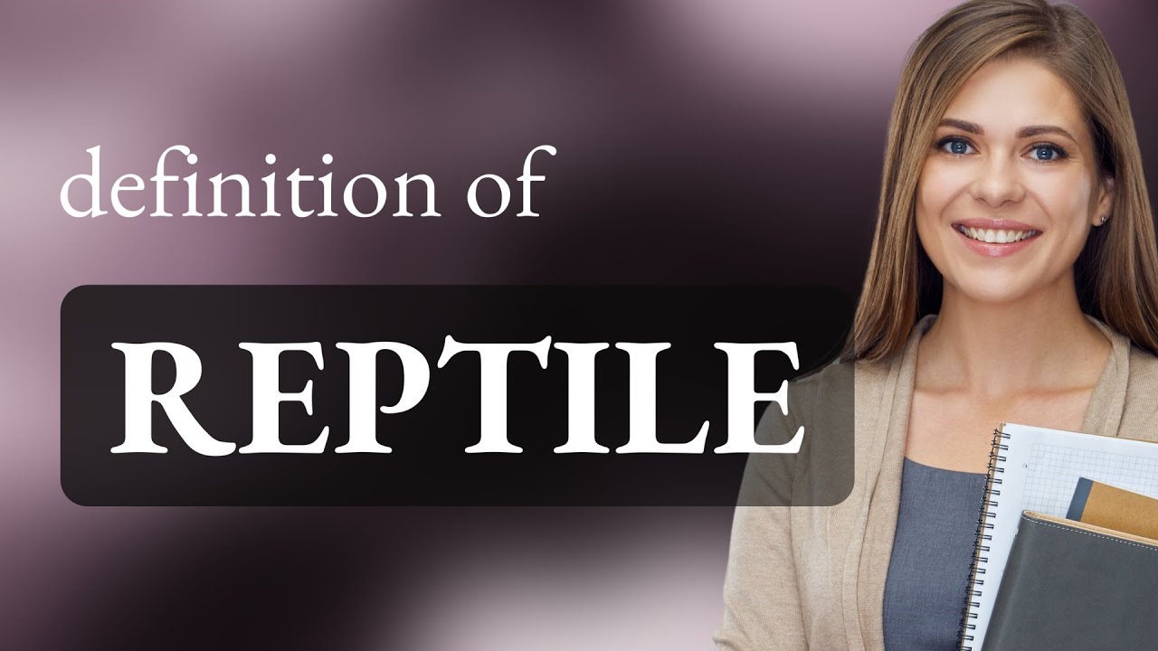 Reptile — what is REPTILE definition - YouTube