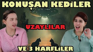 Astral Seyahat Konuşan Kediler Uzaylılar Ve 3 Harfliler