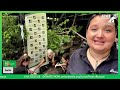 Lotus Flower Rescue LIVE rescue of 7 bears