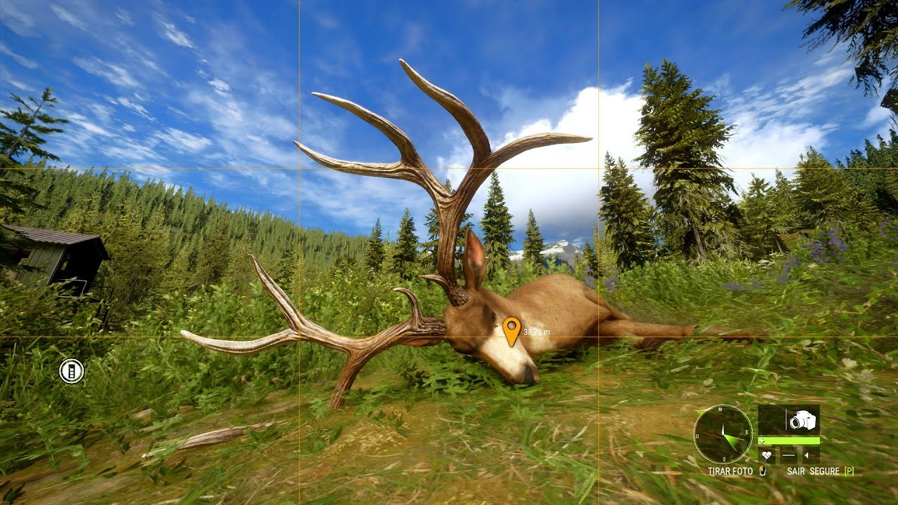 Diamond Mule deer 