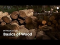 Basics of Wood | Woodworking Basics of Wood | Woodworking