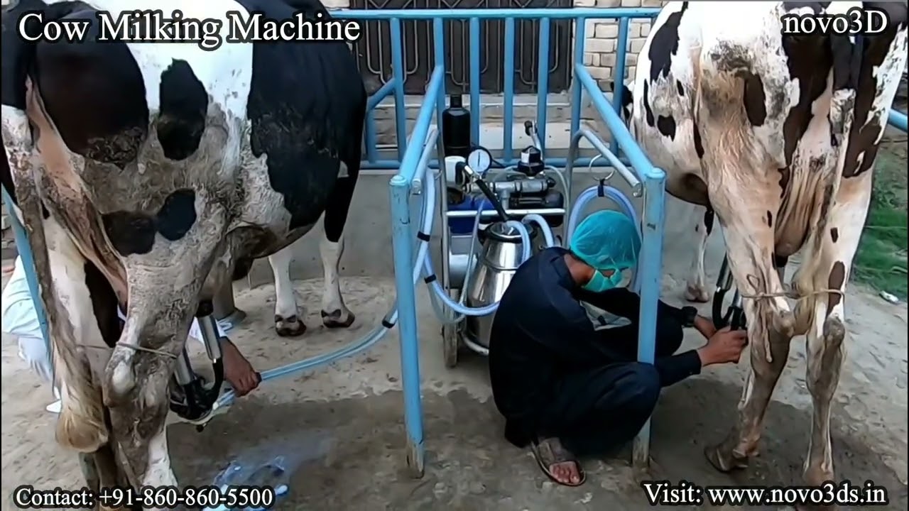 Cow milking machine