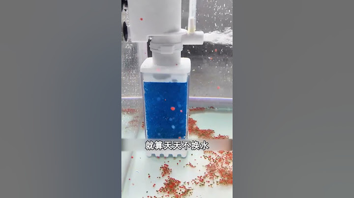 😱What kind of filter is this It’s simply a fully automatic fish toilet Keeping Aquarium Supplies😍👍❤️