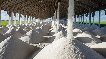How White Rice Is Made in Factories — Amazing Rice Processing & Cultivation Explained! 🌾🍚