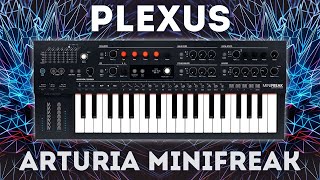 Arturia Minifreak - Plexus 40 Arpeggios and Sequences (Soundset)