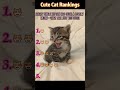The cat with the nice meow #interesting #foryou #funny #cat #funnyvideo #fyp #cute #top5 #pets