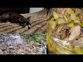 Что приготовили на ужин и как встретили зиму