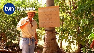 HECHO EN PANAMÁ programa 21/2/2015 | TVN Panamá