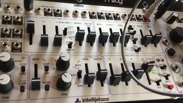 Ambient synth jam with Intellijel Atlantis, Moog Mother 32, Novation Peak, Erbe Verb and pedals