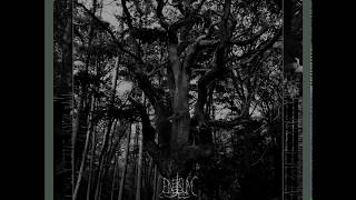 Enisum - Road to My Home