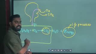 Ch: Breathing & Exchange of Gases | L-1: Breathing Vs Respiration | NEET-UG