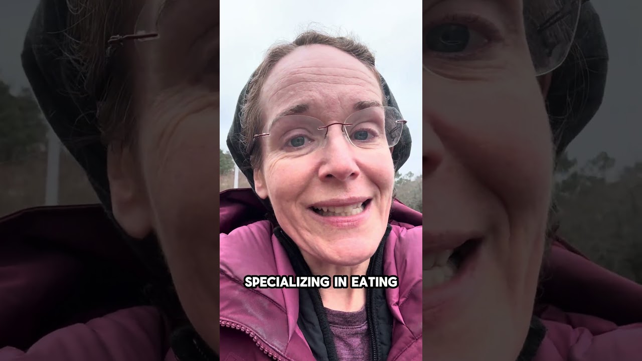 Why today is important for shifting your child's eating habits without shame, restriction and diets