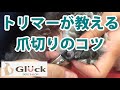 トリマーが教える　犬の爪切り