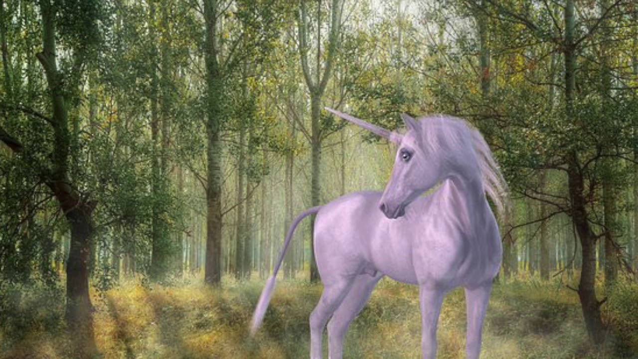 Secrets from the unicorn to help you through the day. Listen to find