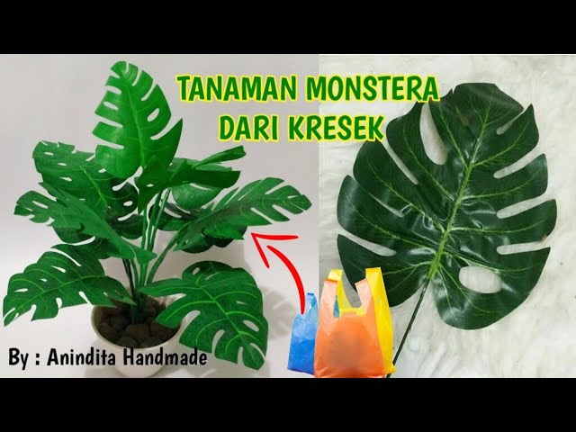 DIY - PICCOLE PIANTINE FINTE DI MONSTERA - IDEA DI RICICLO - MINIATURE  MONSTERA PLANT - TUTORIAL 