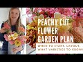 Peachy cut flower garden plan including varieties to grow