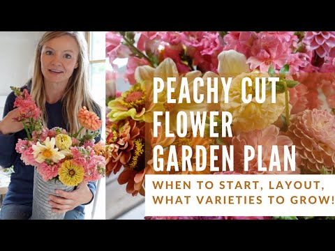 Video: Flower Cutting Garden: Idéer til dyrkning og planlægning af en skærehave