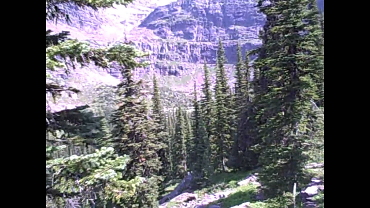 Gunsight Pass, Glacier National Park, Montana