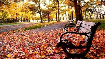 تلاوة خاشعة ..  أَفَرَأَيْتَ مَنِ اتَّخَذَ إِلَهَهُ هَوَاهُ للشيخ نعمه الحسان