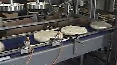 Wepackit Machinery 350CP Case Packing System Shrink-wrapped Pies and Cartons