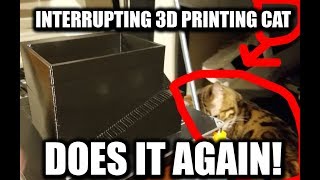 The Interrupting 3D Printing Bengal Cat Does it Again! UGH - Bengal Cat Icy - 3D Printing! by singacata 338 views 5 years ago 1 minute, 13 seconds