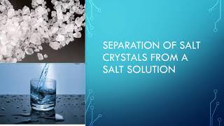 Separation of salt crystals from salt solution|class-5| by Merlin