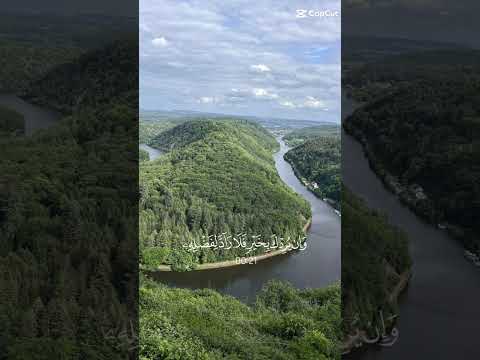 اكسبلور   راحة نفسية عبدالرحمن مسعد  لايك تصميمي حالات واتس دوي