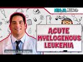 Acute Myelogenous Leukemia (AML)