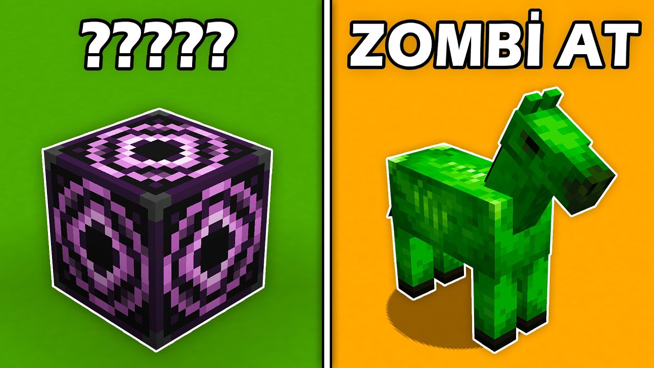 Minecraft'ın EN SAÇMA GÜNCELLEMELERİ