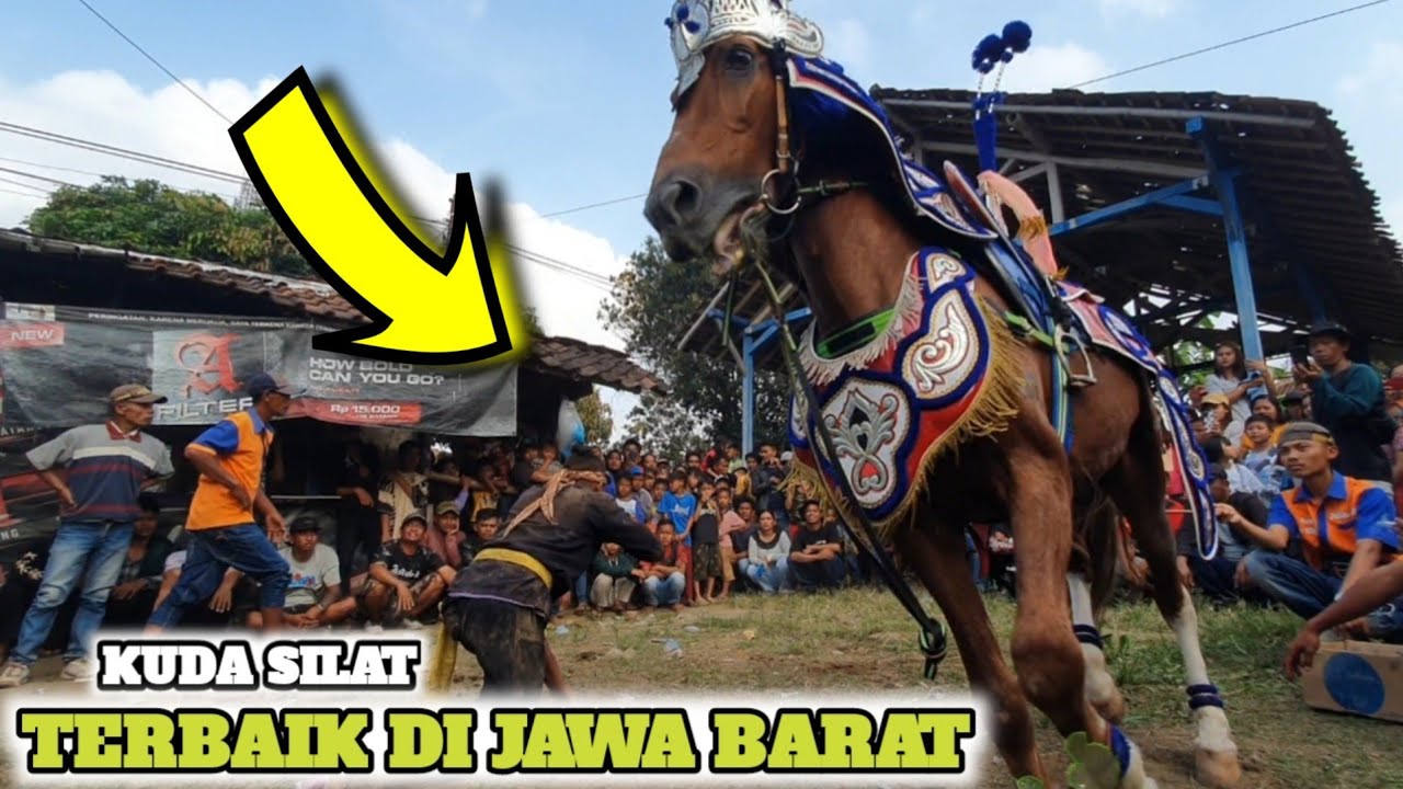 kuda renggong - Atraksi kuda renggong si raja geboy grup