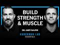 Essentials: Optimal Protocols to Build Strength & Grow Muscles | Dr. Andy Galpin Episode cover