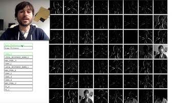 What convolutional neural networks see