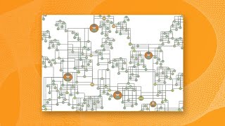 Webinar: Understand Complex Data with Graph Visualization in Tom Sawyer Perspectives