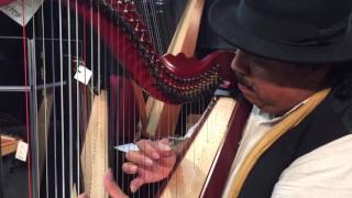 Carlos Reyes - tribute to Alfredo Rolando Ortiz played on the Dusty Strings Serrana 34 harp