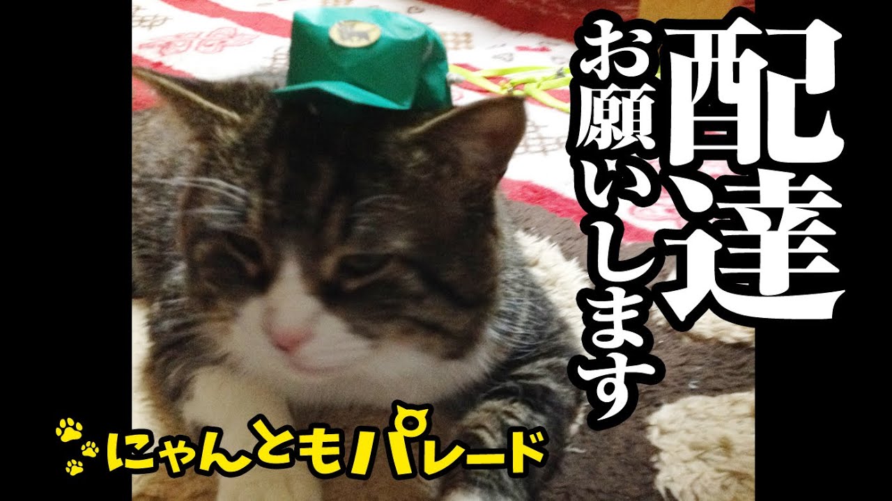 劉猫　※配送方法変更は相談してください様 劉猫 ※配送方法変更は相談してください様 劉猫 ※配送