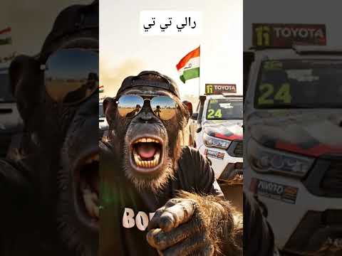 رالي تي تي 54 فيديوهات الذكاء الاصطناعي 3 ذكاء اصطناعي 3