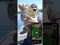 thought it was cap, turns out it’s the map 🗺️🐟 #FishAI #FishingLife #CatchOfTheDay #FYP