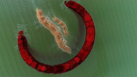 Fractal Animation ~ Torus