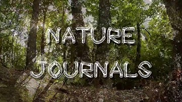 Nature Journals - Exploring our Connections with Nature - Part 2