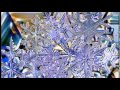 Футаж  Снежинки под микроскопом   Footage  Snowflakes under a microscope     000787