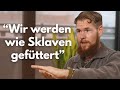 Unsere Ernährung Macht Fett Dumm Und Krank Absicht Oder Zufall Gesundheits Guru Fabian Kowallik Unsere Ernährung Macht Fett Dumm Und Krank Absicht Oder Zufall Gesundheits Guru Fabian Kowallik