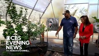 Famous Nonprofit fulfills wishes for wounded veterans Wealth