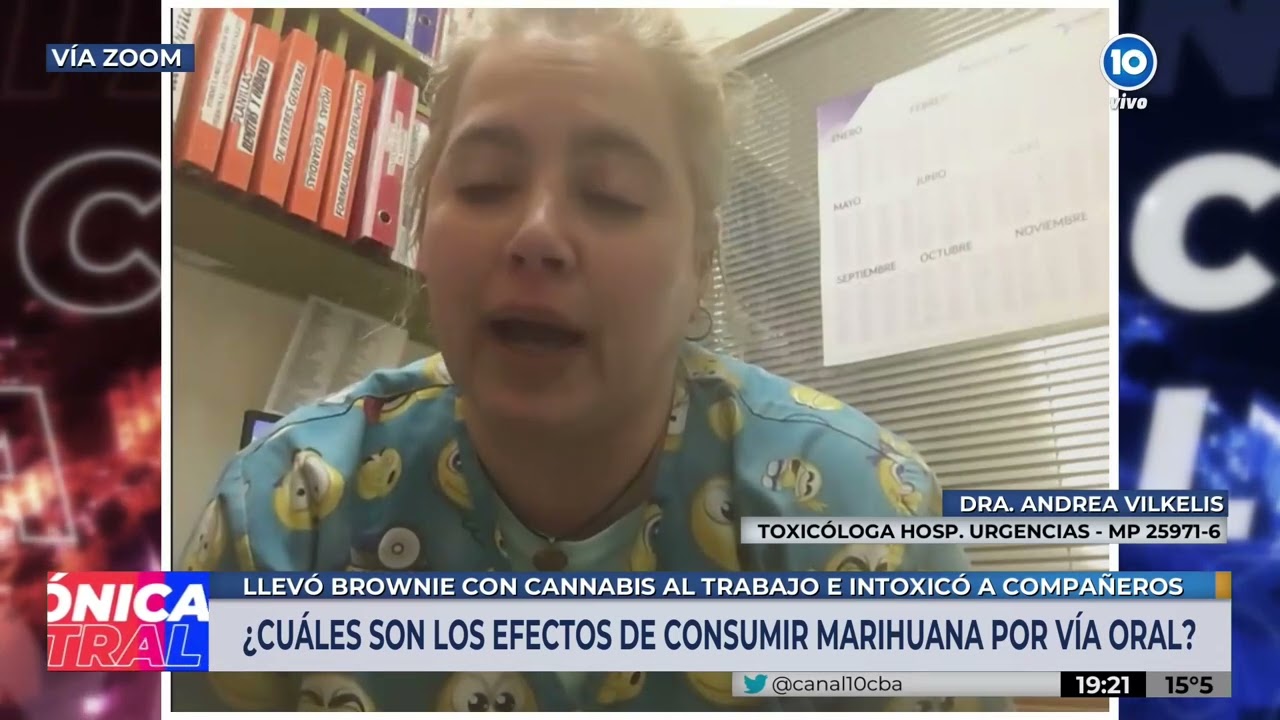 Los efectos de consumir MARIHUANA en brownies