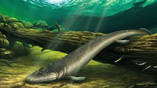 Tiktaalik tribute