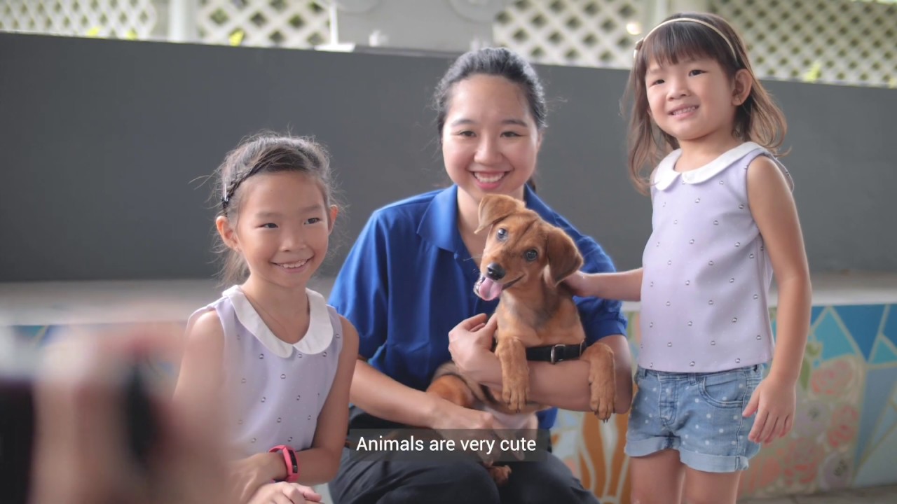 Giving.sg - Kids Try Volunteering at an Animal Shelter