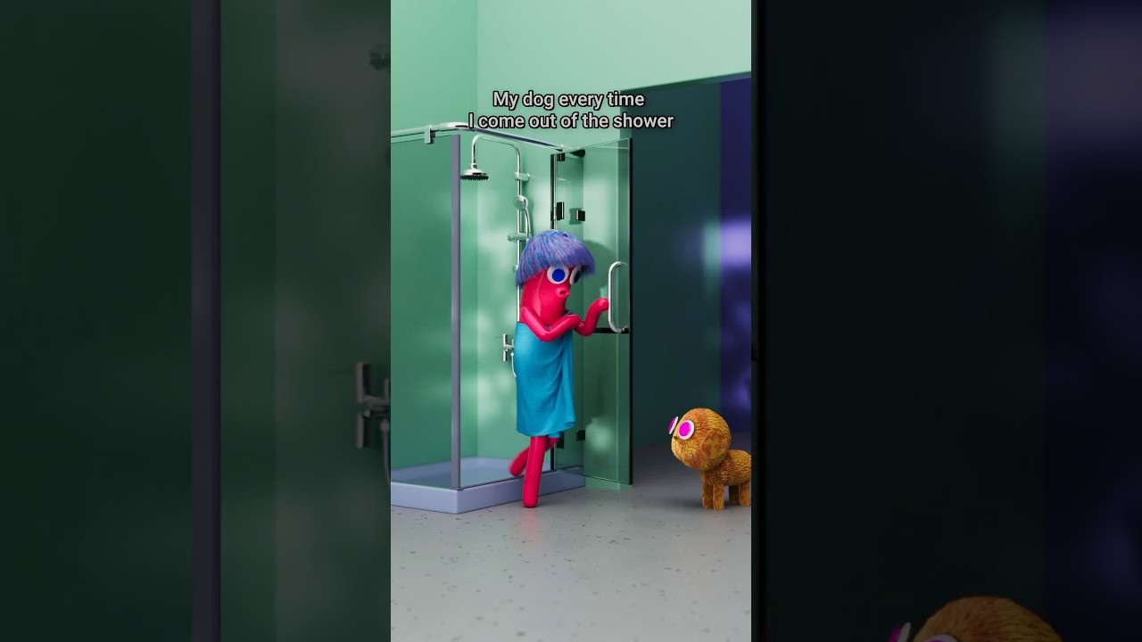 My dog when I get out of the shower 