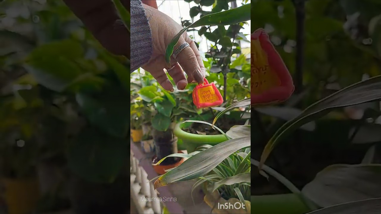 easy and simple superclay art | miniature bag and makeup making 