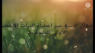 درس انتقال النسغ عبر اعضاء النبات علوم اولى متوسط